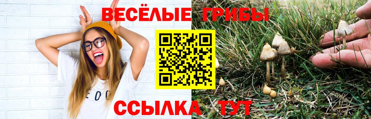 Псилоцибиновые грибы мухоморы Рязань
