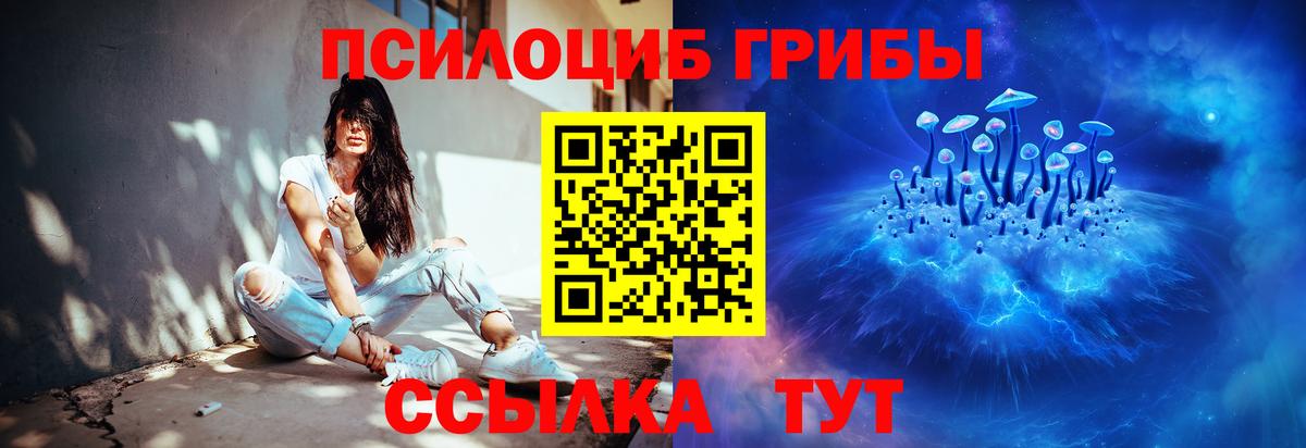 Псилоцибиновые грибы MAGIC MUSHROOMS  Вход с VPN  Рязань 
